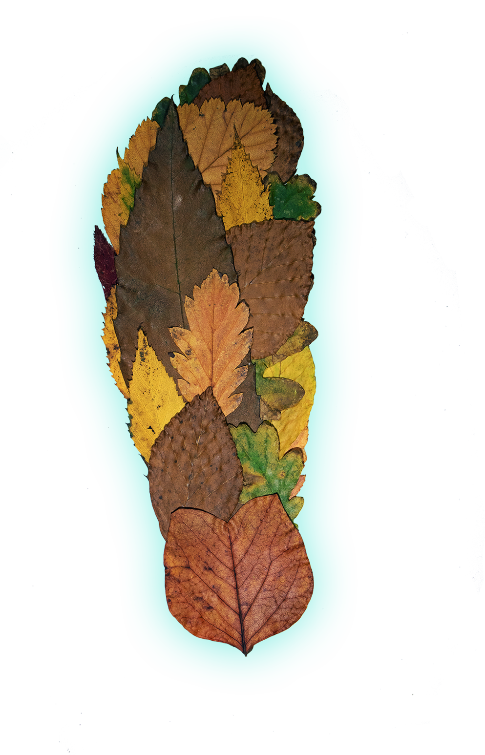 Grounding_LeftFoot_withFX_web