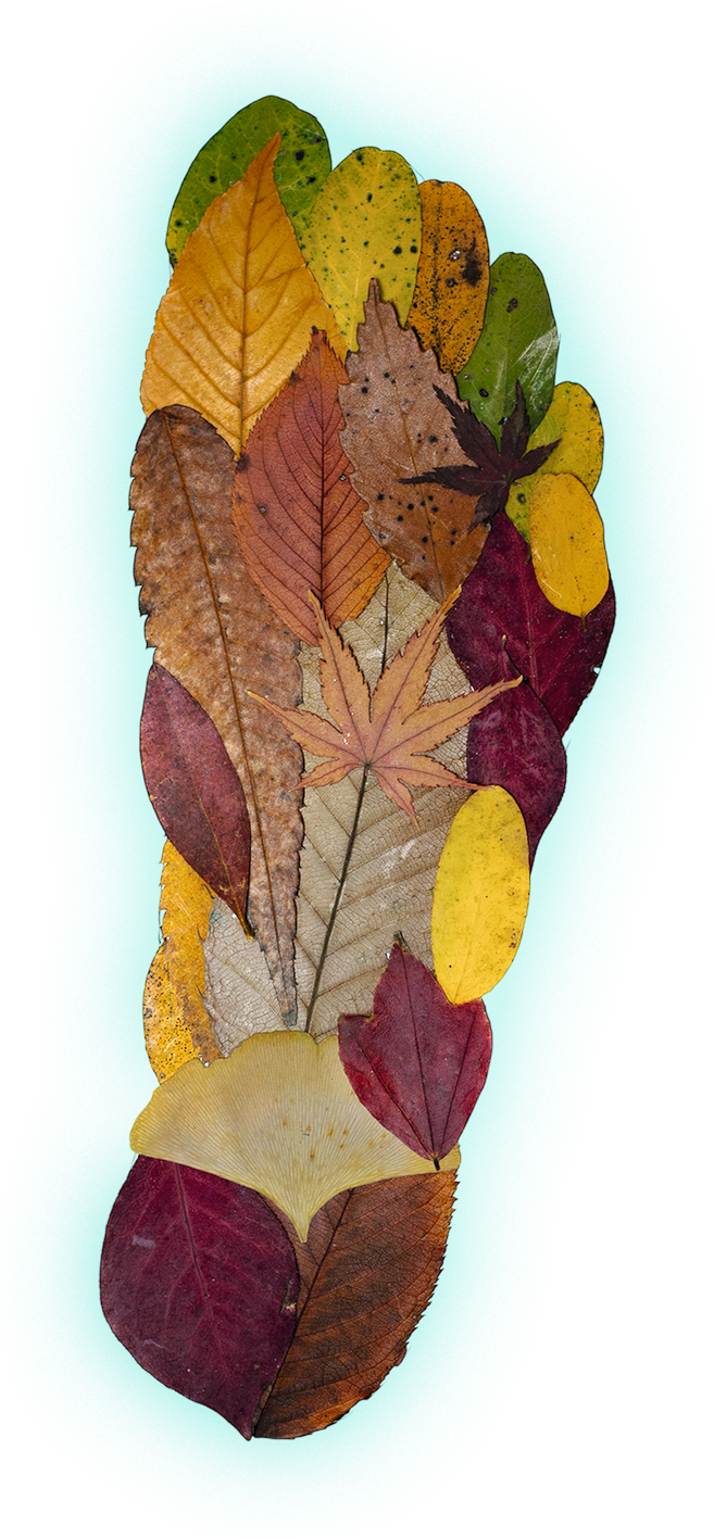 Grounding_RightFoot_withFX_web